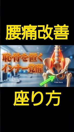 【腰痛が消える！】骨盤を立てるより大事な「恥骨支持」座りの極意