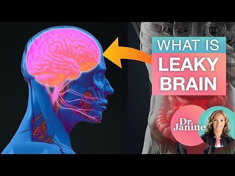 Brain Detox | What is Leaky Brain | Dr. J9 Live