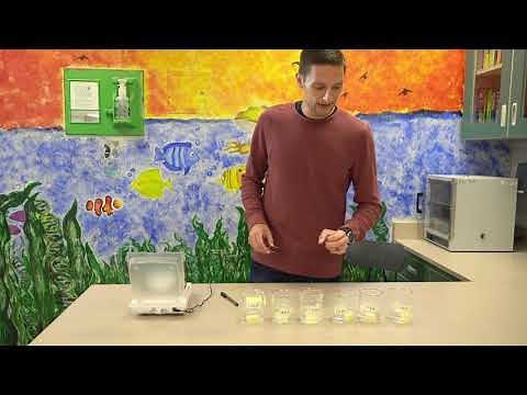 Membrane Diffusion Potato Lab