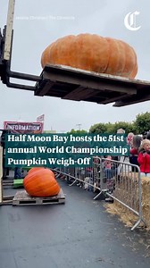 The 51st annual World Championship Pumpkin Weigh-Off in Half Moon Bay was held on Monday, with the winning pumpkin registering at 2,471 pounds. 🎥: @jachristian 🎬: @tea_francesca | San Francisco Chronicle