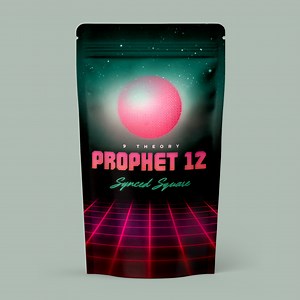 Prophet 12 - Synced Square