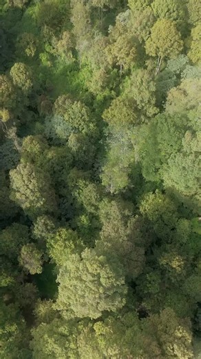 ALLTREK Hiking on Instagram: "Cook more simply with an ultralight cooking set👌🏻 - - info product: - Hectolite Pot 1L Ultralight - Kompor Lipat Portable Mini Detachable 3300 - Cutlery Set Magnetic - Canister - Folding Canister"