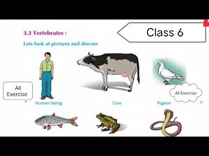Class 6 Science book Unit 3 # Exercise 3.3 # All Exercise # English Medium