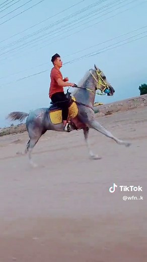 #ماشالله🧿🧿🧿💘 #خيل_وخياله🐎 #لخيل_عشق_لاينتهي🐎❤️ #جمال_الخيل_العربيه_الاصيله #ذكروالله__ماشاءالله💙