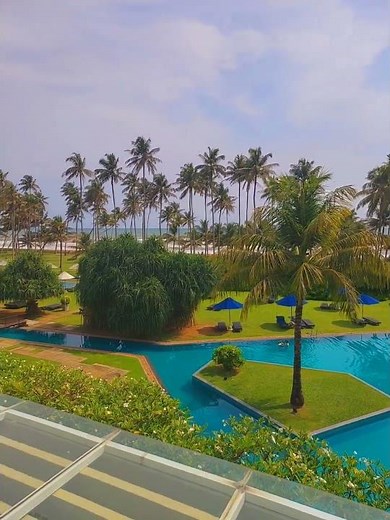 Sri Lanka Vibes: Breathtaking Negombo Sea View 🇱🇰