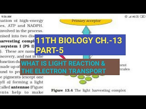 Class 11 Biology|Ch.-13 |Part-5||Light reaction and electron transport||Study with Farru