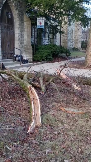 Deciphering the role of evapotranspiration in declining relative humidity trends over land Yeonuk Kim & Mark S. Johnson Communications Earth & Environment volume 6, Article number: 105 (2025) Cite this article 4416 Accesses 7 Citations 29 Altmetric Metricsdetails Abstract In recent decades, relative humidity over land has declined, driving increases in droughts and wildfires. Previous explanations attribute this trend to insufficient moisture advection from the ocean to sustain the current level