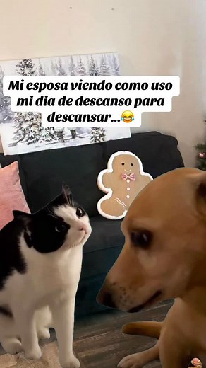 246K views · 74 reactions | Caen mal  | Sol Makeup | Facebook