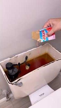 Your Toilet Will Smell Amazing for 2 Weeks #bathroomhack #freshener #genius