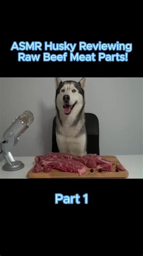 ASMR Husky Reviewing Raw Beef Meat Parts! Part 1 #GohanTheHusky #huskylife #vlogs #fyp #foryou