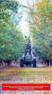 Powerful Branch Cutting Machine! Extreme Tree Pruning Technology