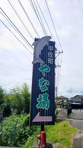 熊本甲佐町やな場#やな場 #癒しの瞬間 #鮎 #落ち着く