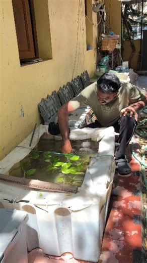 World's smallest Aquarium Sponge Filter Explained | useful for Nano Tank's | VinVin Birds