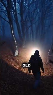 Cryptozoology: The Specter Moose Maine’s Ghostly Forest Legend