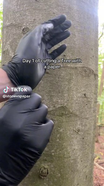 Paper cutting a tree on Day 1