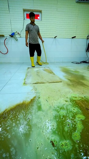 The most satisfying short #satisfying #asmr #carpetcleaning #soclean | Clean Show