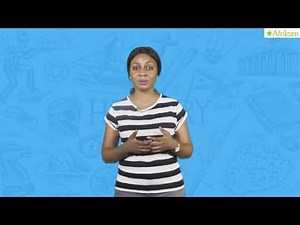 First Democratic Civilian Government In Nigeria 1960-1966 | History | SS2