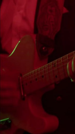 suit, shades, shimmer🙂‍↕️ Golden Wolf with @mahogany #dopelemon #mahoganysessions #concert #newmusic