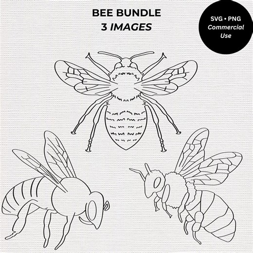 Bee SVG Bundle | Honey Bee Line Art PNG | Bumblebee Clipart | Nature Insect Outline | Minimal Bee Drawing | Cricut Commercial Use - Etsy