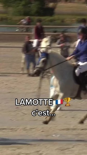 Championnat de CSO : L'art du dressage équestre