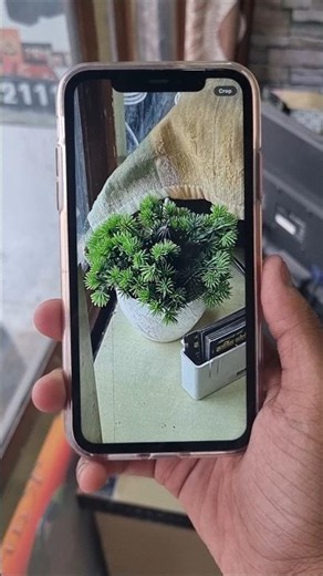 Iphone 11 Camera Test #iphone #apple