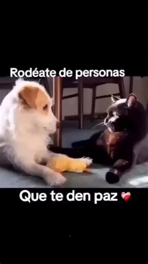 Joel López Navarro (@joel.lpez.navarro)’s videos with original sound - Joel López Navarro