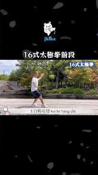 【超お勧め】24式太極拳と相性が抜群、健康の為の16式太極拳