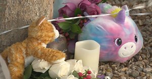 Autopsy report released of 9-year-old elementary school student