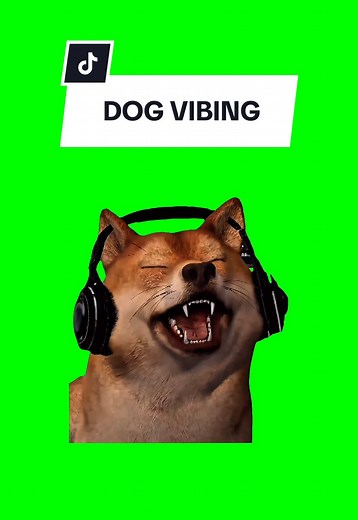 Dog Vibes: Hilarious Dancing Dog Memes Compilation