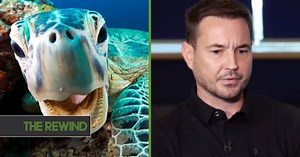 2 Podcasts And A Netflix Series You Should Check Out Today | Balls.ie