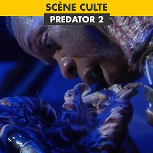 22K views · 1.5K reactions | Un prédateur venu d'un autre monde...  | AlloCiné | Facebook