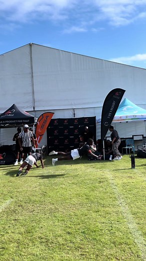 Achieve Your Dreams in 2024: New Year Wishes