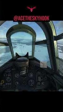 Straffing with 40 mm - Il-2 Sturmovik #il2greatbattles #il2