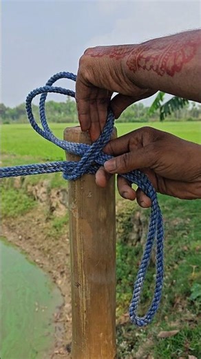 Secure Rope Knot for Beginners Easy ✅👍 #shorts #lifehacks #skills