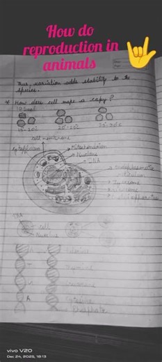 How do reproduction in animals 🙏