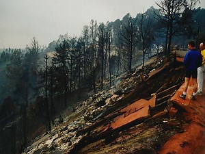 Oakland firestorm of 1991 - Alchetron, the free social encyclopedia