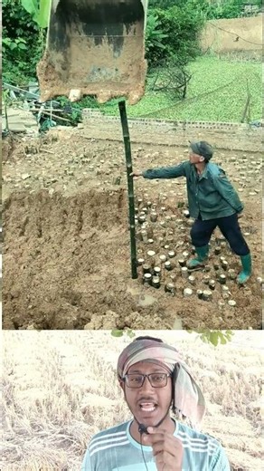 অসাধারণ টেকনিক 😲 | Amazing Technique #shorts #viralshorts #bamboo #funny #viral #youtubeshorts