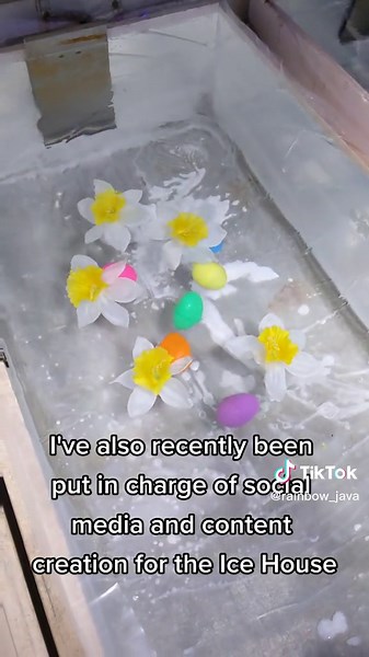 Actualización de Vida: Diseño Gráfico y Esculturas de Hielo