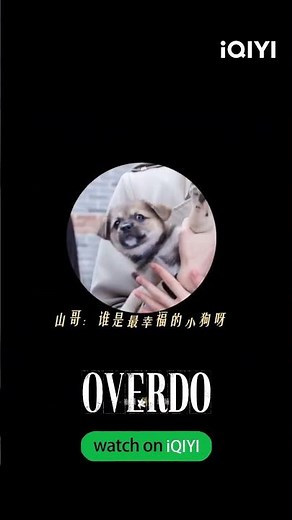 💞Love is in the little moments. #Overdo #这一秒过火 #iQIYIOverdo