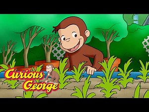 Curious George 🌱 The Magic Garden 🌱 Kids Cartoon 🐵 Kids Movies 🐵 Videos for Kids 🌱