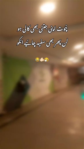 Aesthetic Lines: Artistry in Simplicity