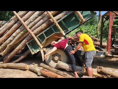 agricultural vehicles transporting timber