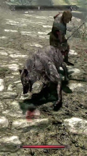 Magical Imperial Soldier