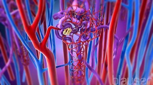 “Media study does not replace text. It broadens and deepens our understanding of texts.” ― Philip M. Anderson, “Visual & Verbal Thinking” Check out 'The Complete Blausen Human #Anatomy & #Physiology Experience, 650 medically accurate animations, 100 interactive 3D models, 1000's of images, perfect for students taking an A&P class or as a standalone experience for anyone interested in learning more about how the human body works. The course follows the standard 28-chapter pedagogy and scope compa