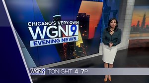 1.7K views · 103 reactions | Counting down to your 4PM newscast - WGN TV HEADLINES - *Explosion at a gas station caught on video after a car plows into a pump. *Mayor of Kiev says get ready for a difficult night ahead as 100,000 people leave their homes and Russian troops get closer to capital. *Lifting the mask mandate is just days away...now the first dog in Illinois tests positive for COVID-19 | Lourdes Duarte | Facebook