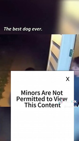 Dogs Protecting Humans in Critical Moments