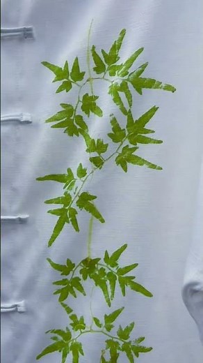 Falling in Love with Botanical Hammer Printing 🌿 | Aesthetic Nature Art Day
