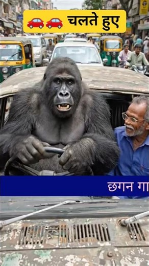 Gorilla Driving a Car 🐒🚗 | People Can’t Believe This 😂🔥 #animals #gorilla