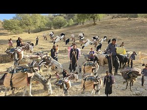 Nomadic Life: The Beginning of a Nomadic Family's Migration | A Real Journey into the Wilderness