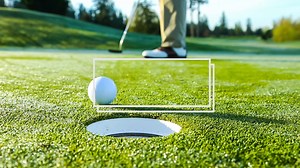 VIP SAVINGS MEMBERSHIP